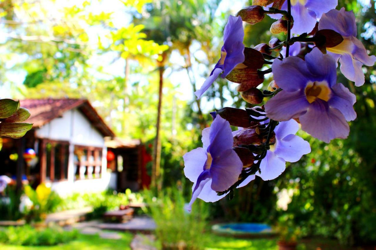 Recanto Das Andorinhas Studios Araquari Exterior foto